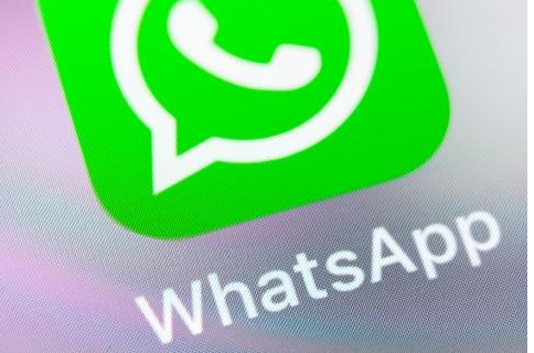 whatsapp官网,whats安卓版官方下载