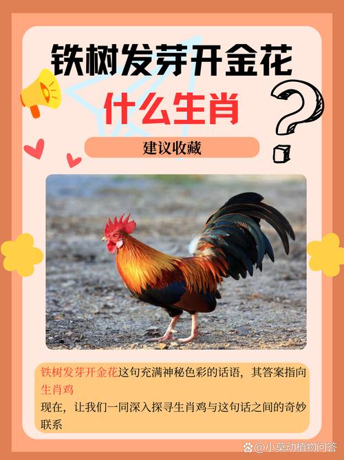 今期生肖大将来打一数字,今期生肖开金花,大将无帅找大姐