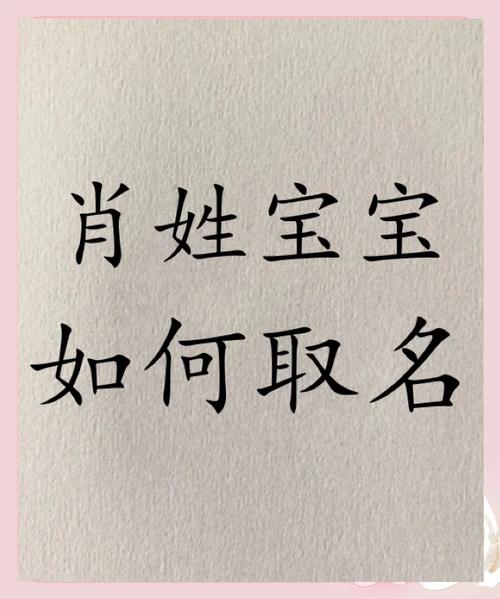 暂打一生肖,暂这个字念什么