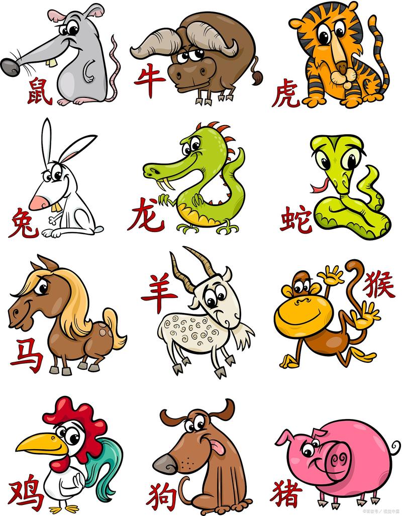 神通广大出过什么生肖,神通广大出过什么生肖的动物