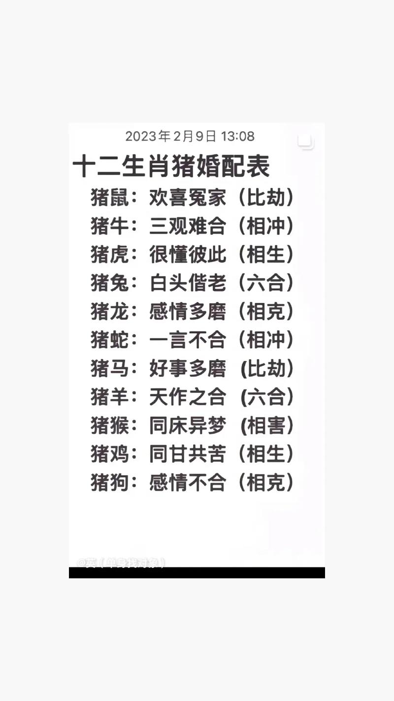 什么生肖克猪最厉害?,什么生肖克猪最厉害属猴的和属猪的在一起工作好吗