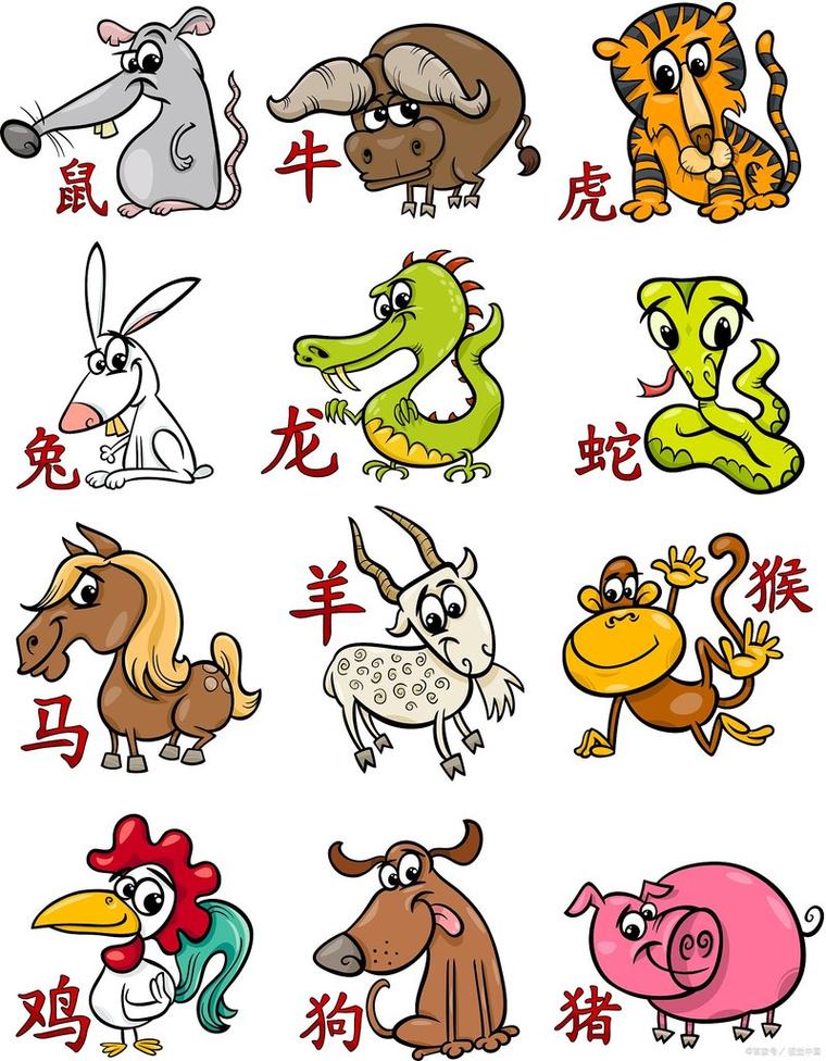 今期生肖彩头开,今期生肖彩头开打一动物