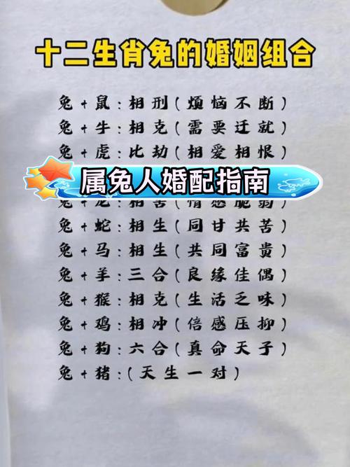 兔配什么生肖最旺,兔配什么属相婚姻好