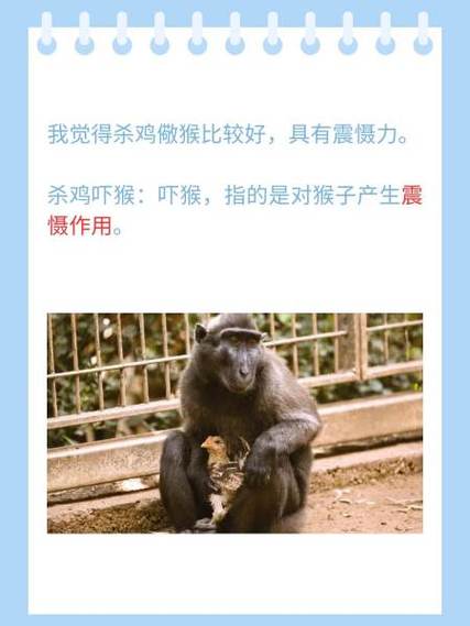 杀鸡吓猴打一生肖,杀鸡吓猴打一生肖求解羊