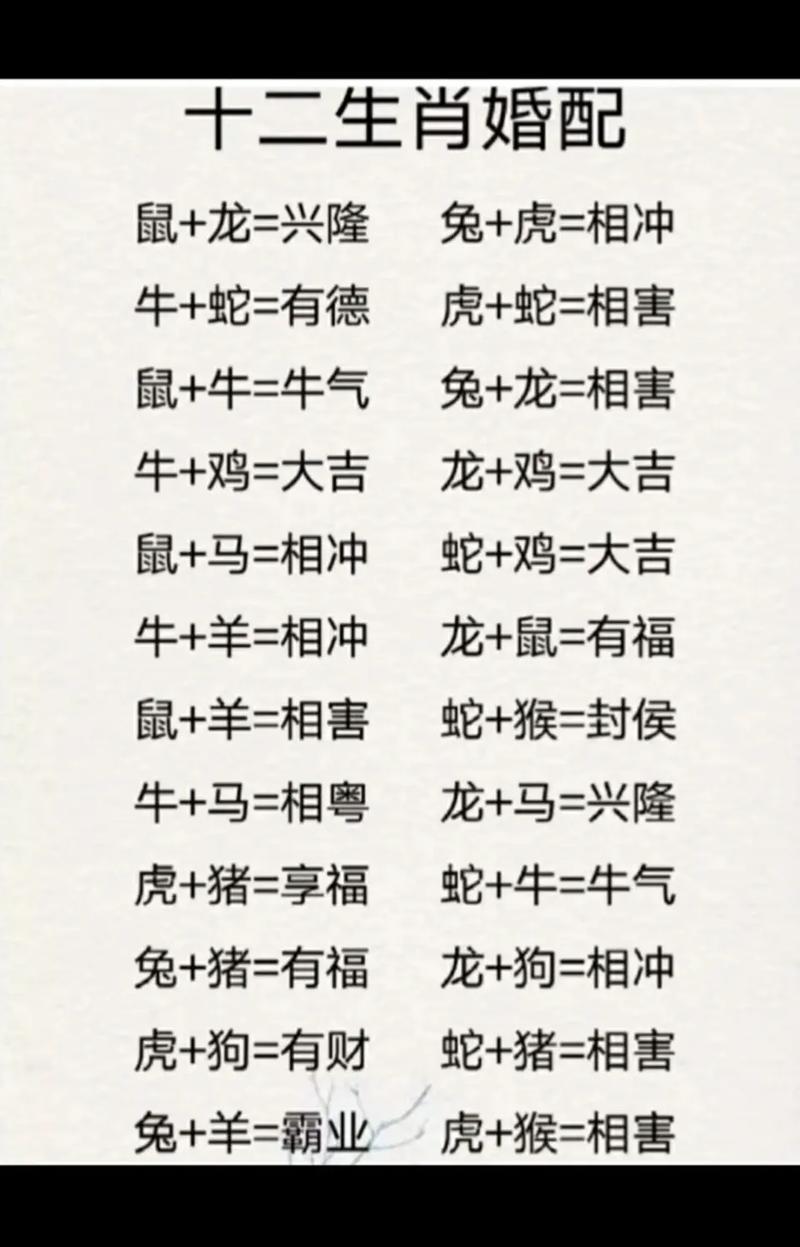 今期牛虎猪出特正确答案,今期牛羊争一奖是什么生肖
