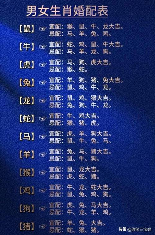 今晚买什么生肖最好呢,今晚买什么生肖最准最好2021