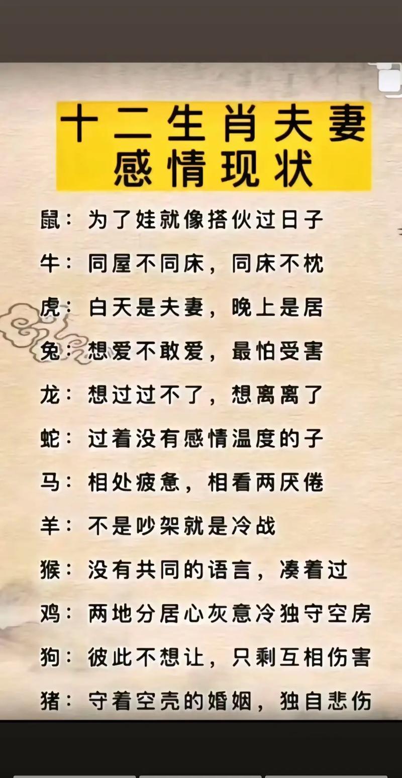 “夜不能寐”是代表哪个生肖的简单介绍