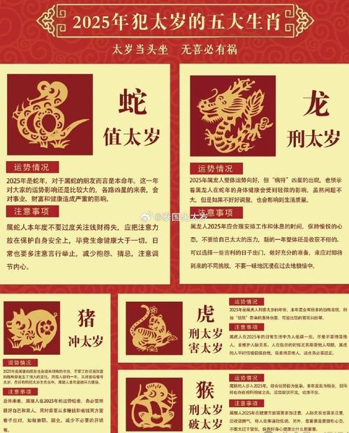马年什么生肖冲太岁,生肖马冲年是什么意思