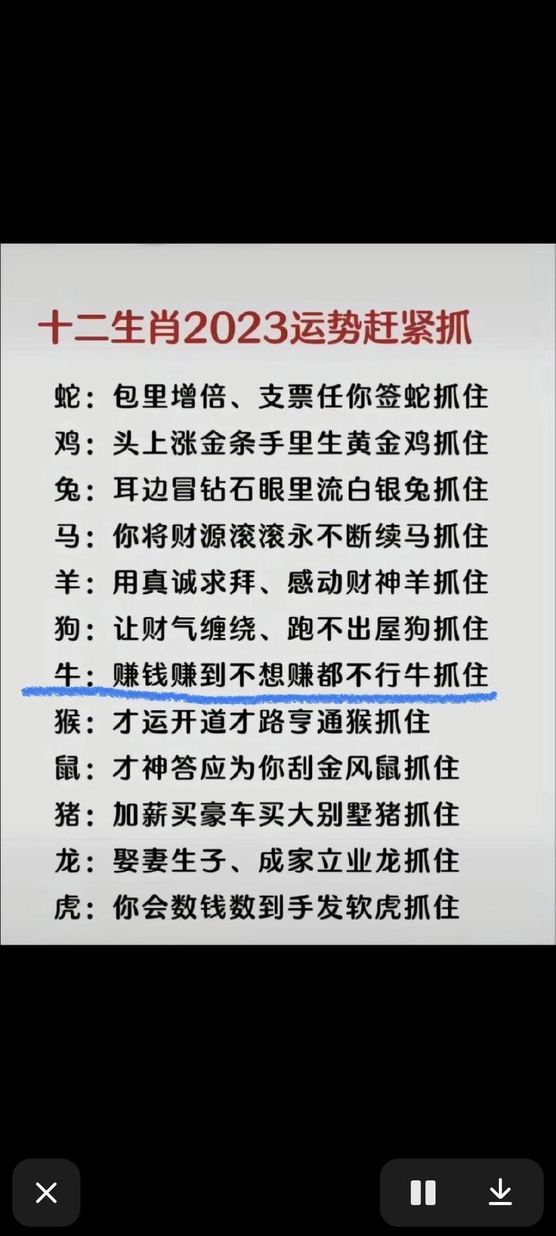 队伍登上今期旺红地上打一动物,队伍登上今?期旺红地上?指着什么生肖?