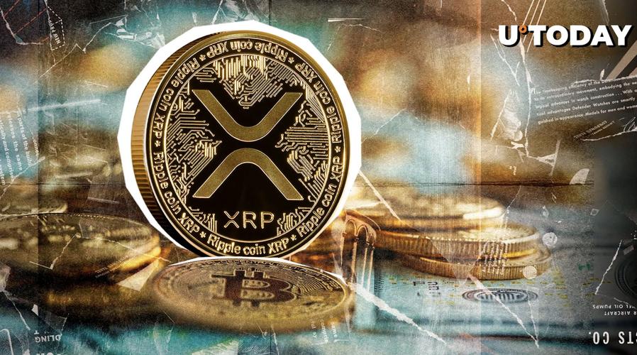 瑞波币发行量最新消息: 深入分析及市场影响