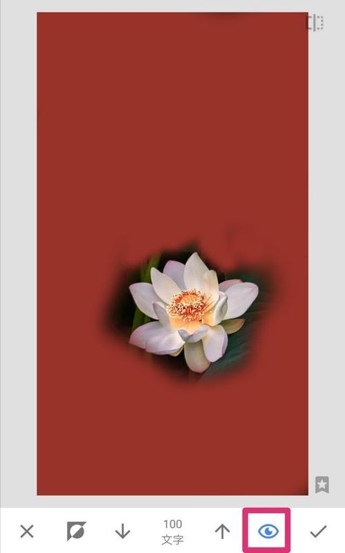 snapseed中文版,snapseed中文免费版