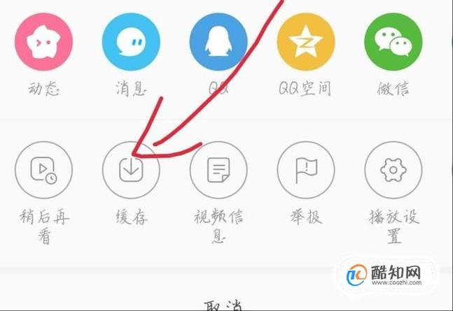 如何安全合法地下载和管理TG上的视频内容
