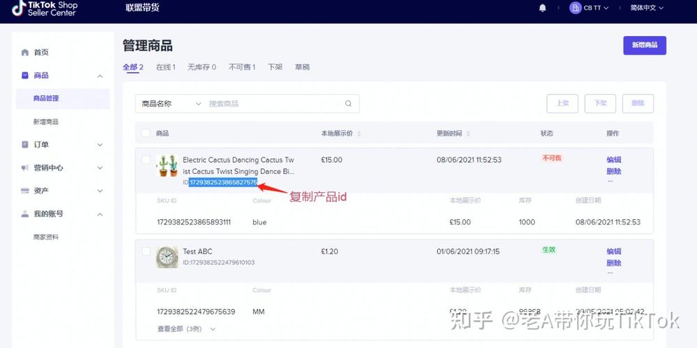 完全指南：寻找最安全的TK下载地址