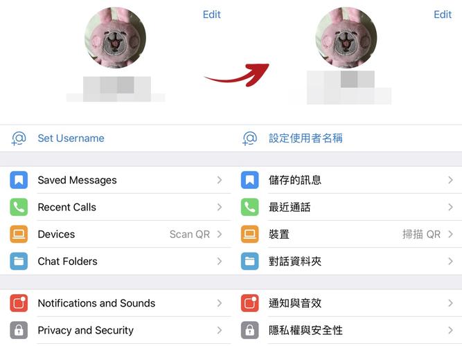 TEle设置中文,telegreat手机中文怎么设置