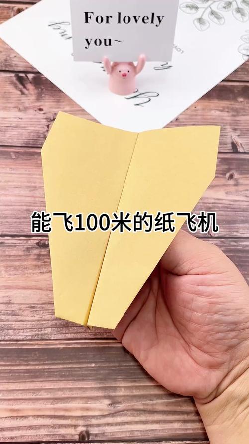 纸飞机写的是什么,纸飞机写的是什么字