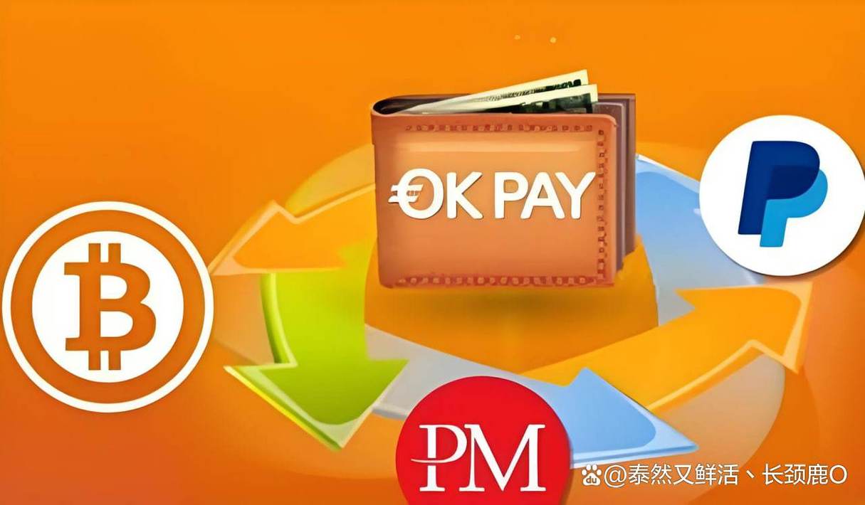 okpay钱包app安卓版,okpay钱包app安卓版下载