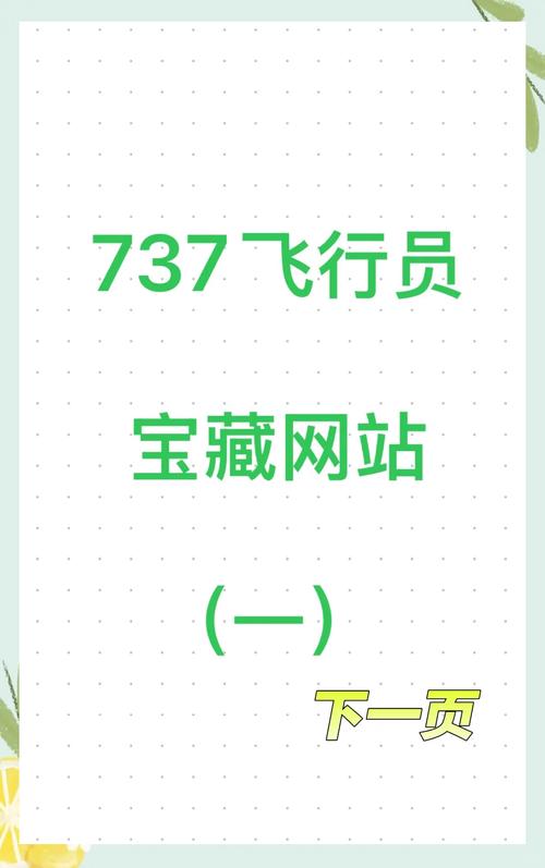 飞机号购买网站,飞机号购买网站是什么