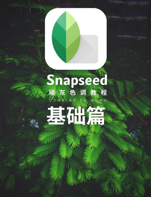 snapchat相机安装中文版,snapchat camera download