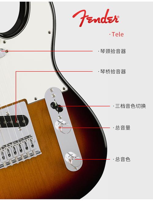 tele功能介绍,teleaecg功能介绍