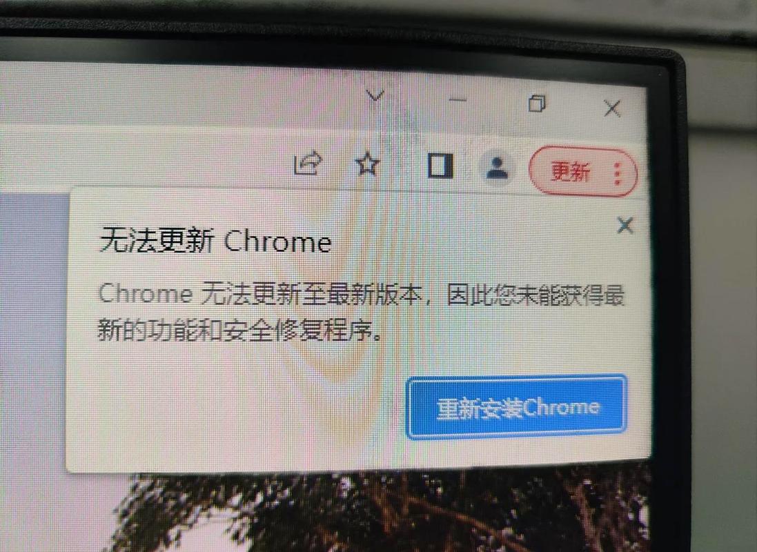 谷歌浏览器为什么打不开网站,谷歌浏览器为什么打不开网站手机