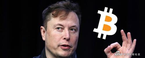 虚拟币排行榜2021,虚拟币排行榜20名朗基鲁斯
