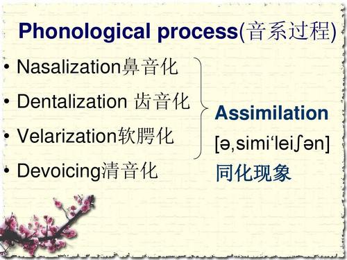 phonology举例,phonological phonetic