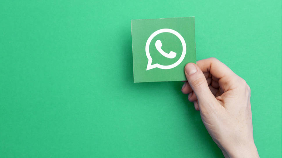 whatsapp,whatsapp apk