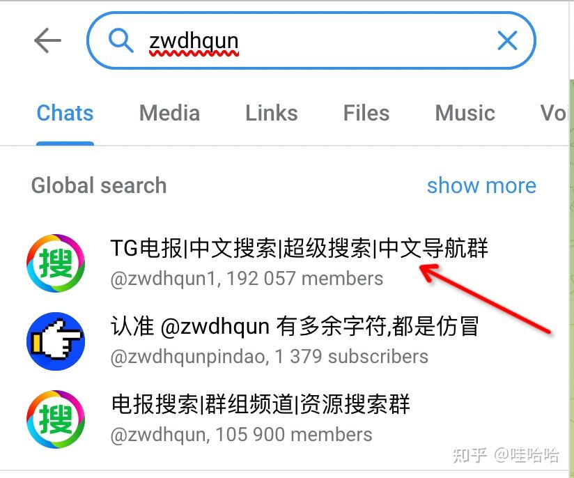telegeram怎么弄成中文,苹果telegeram怎么弄成中文